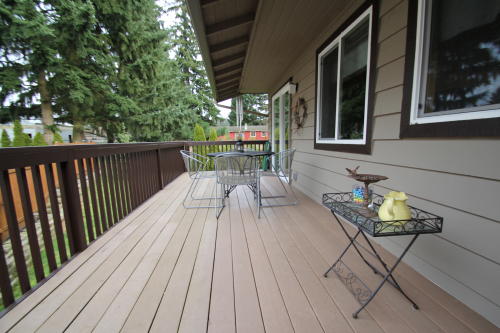 Lower level fireplace